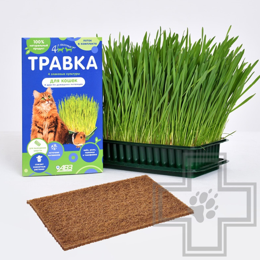 Четыре с хвостиком Трава для кошек и других домашних питомцев