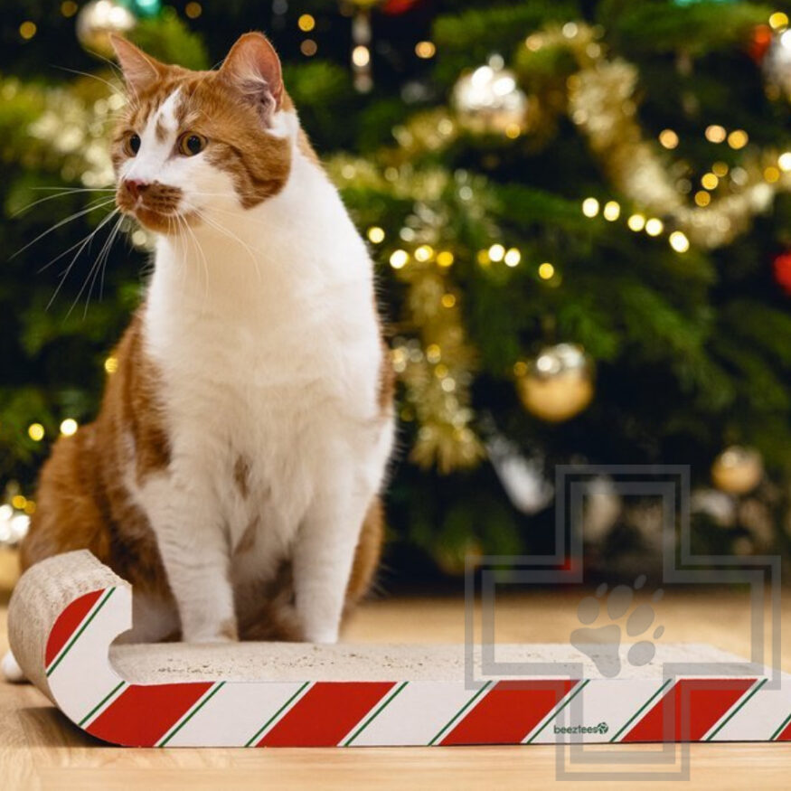 Beeztees Когтеточка для кошек "Рождественский леденец" Beeztees Когтеточка для кошек "Рождественский леденец"