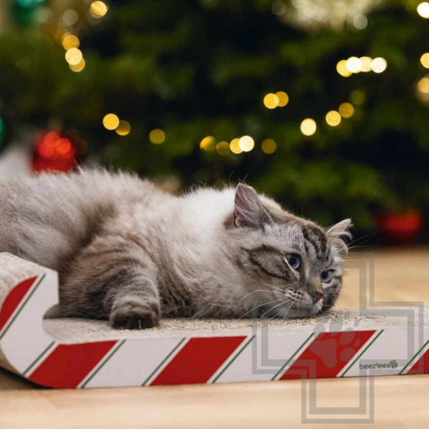 Beeztees Когтеточка для кошек "Рождественский леденец" Beeztees Когтеточка для кошек "Рождественский леденец"