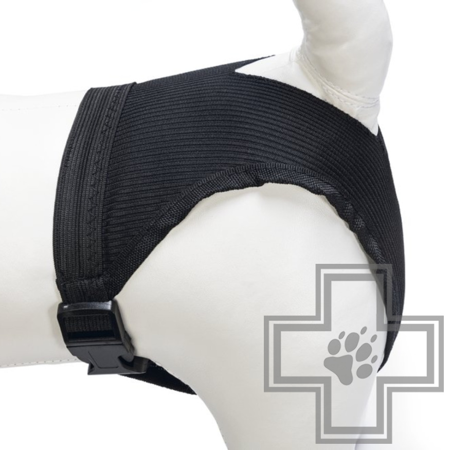 Beeztees Трусики гигиенические для собак Beeztees Трусики гигиенические для собак