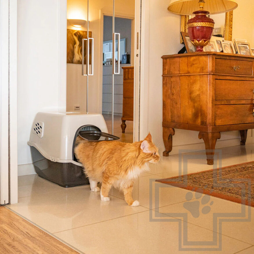 Ferplast Туалет-домик Maxi Bill для кошек Ferplast Туалет-домик Maxi Bill для кошек