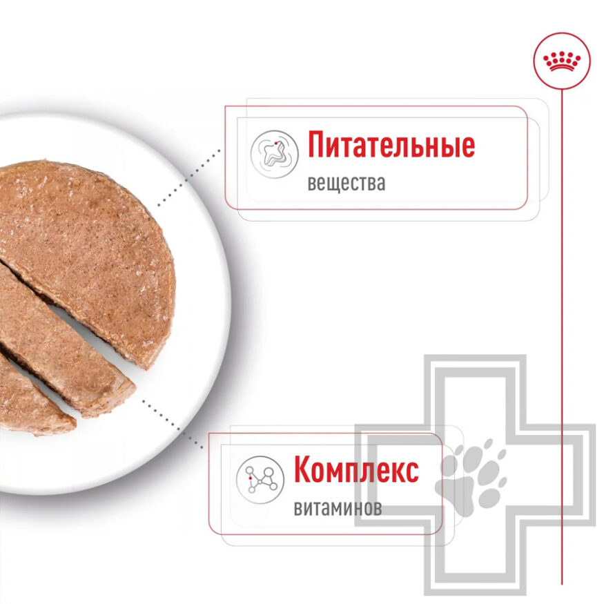 Royal Canin Mini Adult Консервы для взрослых собак мелких пород