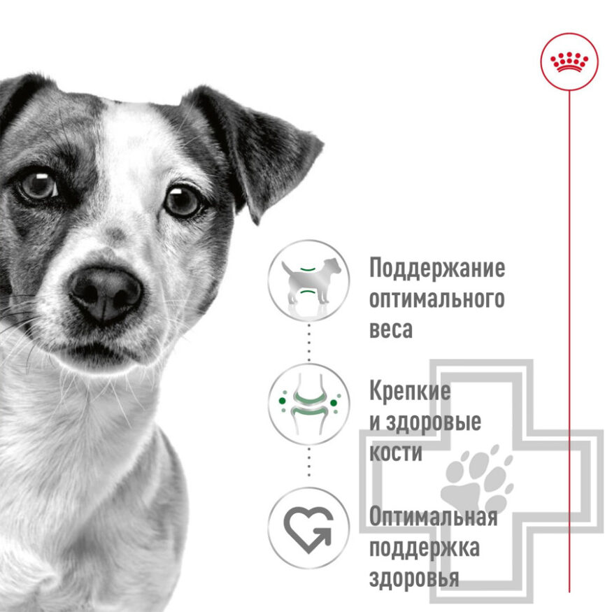 Royal Canin Mini Adult Консервы для взрослых собак мелких пород