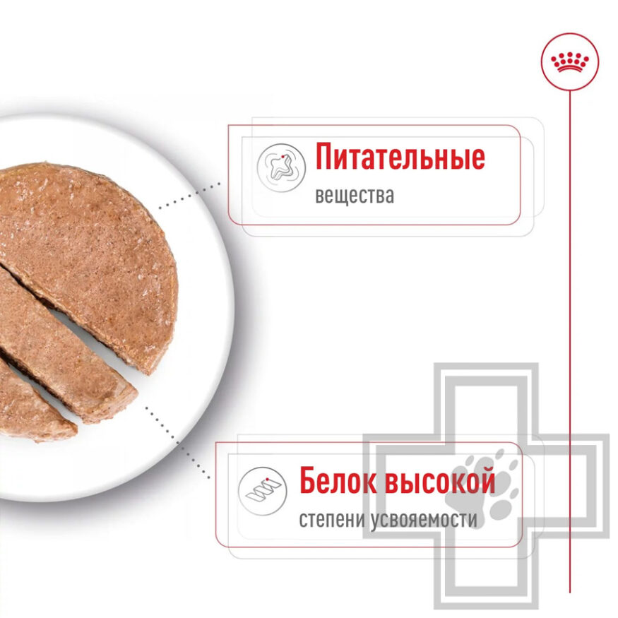 Royal Canin Maxi Adult Консервы для взрослых собак крупных пород Royal Canin Maxi Adult Консервы для взрослых собак крупных пород