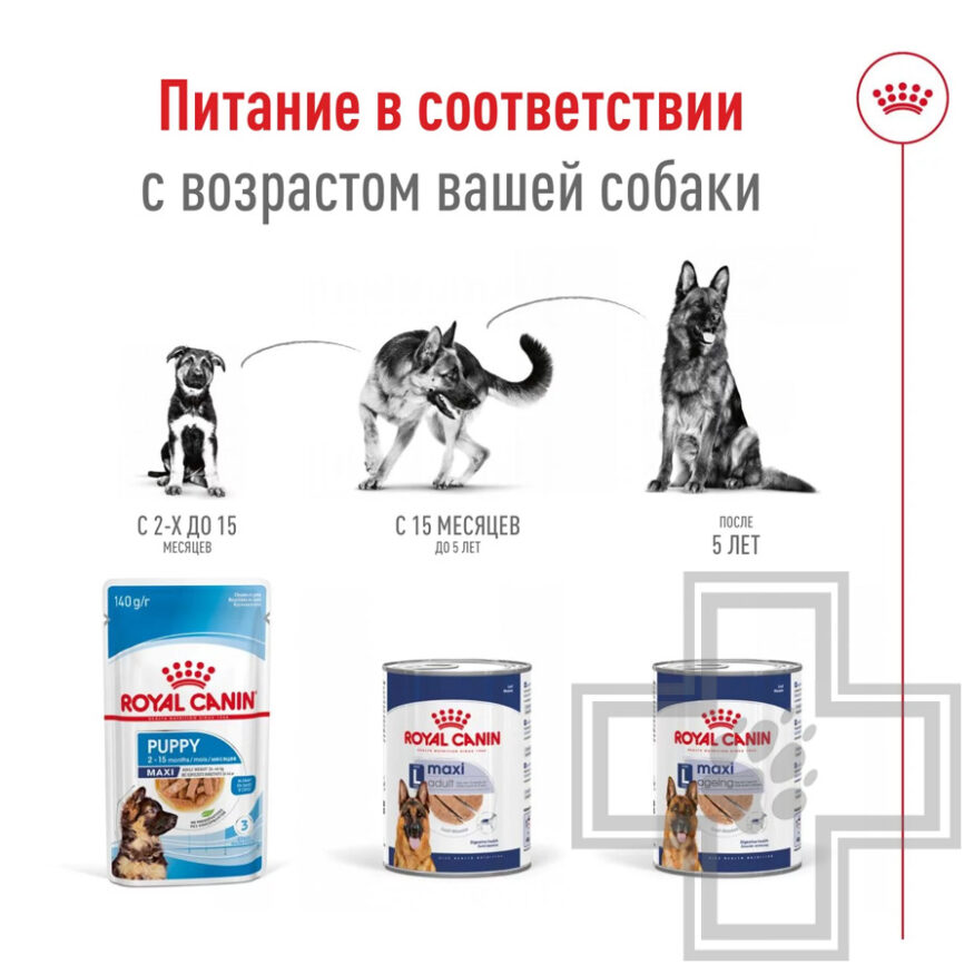 Royal Canin Maxi Adult Консервы для взрослых собак крупных пород