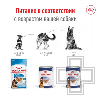 Royal Canin Maxi Ageing Консервы для стареющих собак крупных пород