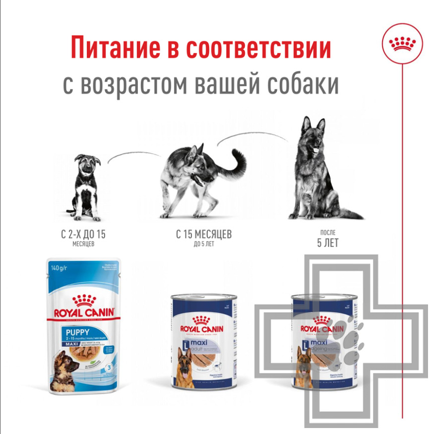 Royal Canin Maxi Ageing Консервы для стареющих собак крупных пород