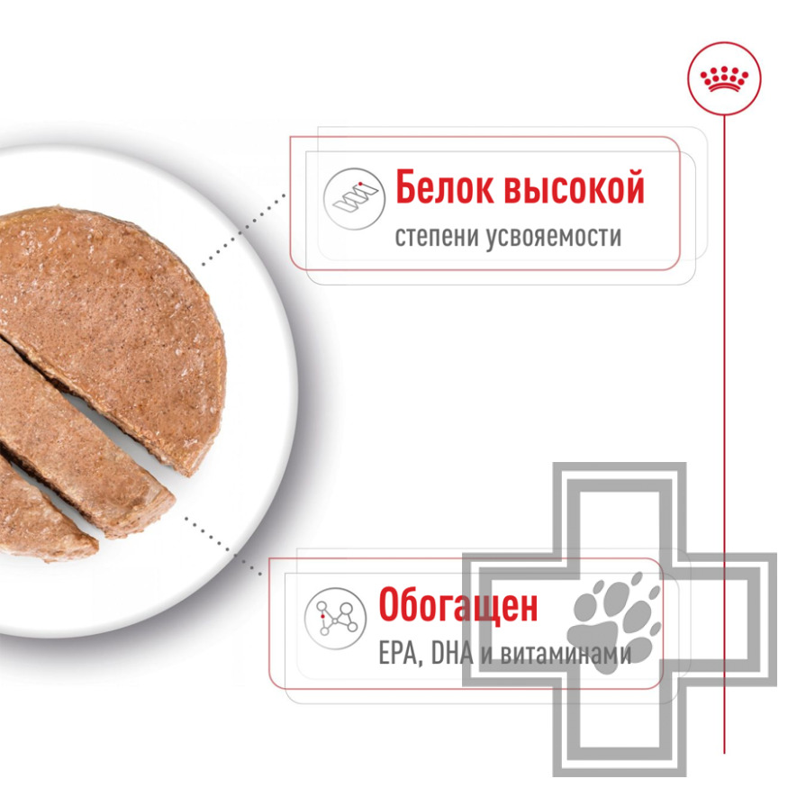 Royal Canin Maxi Ageing Консервы для стареющих собак крупных пород