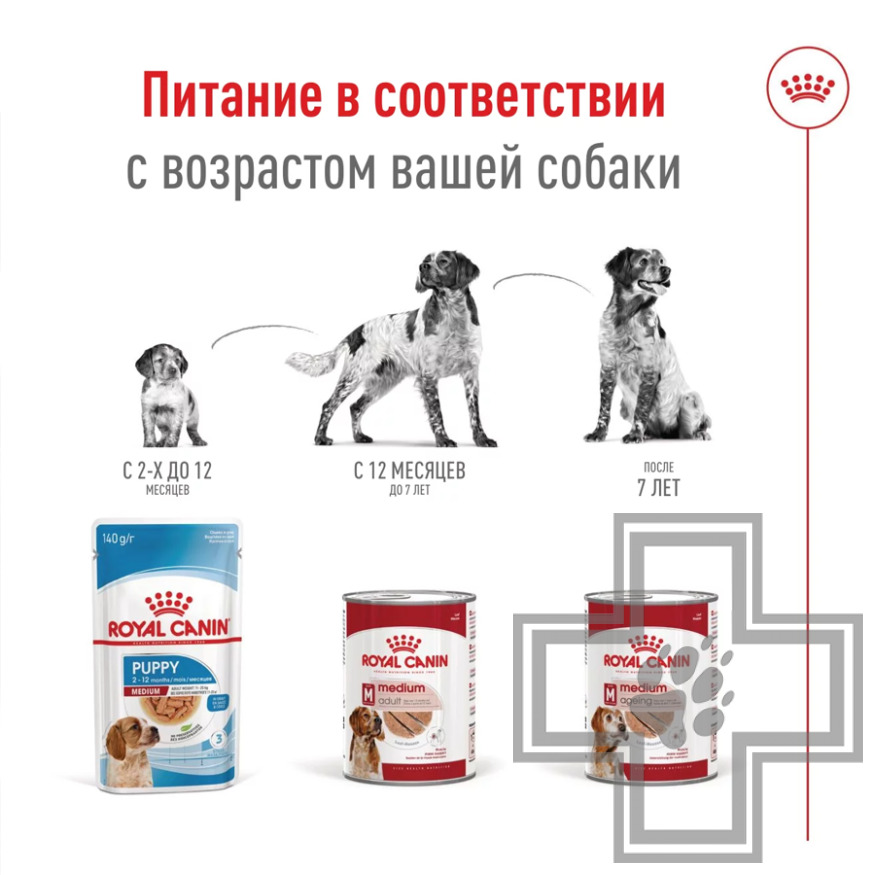 Royal Canin Medium Adult Консервы для взрослых собак средних пород