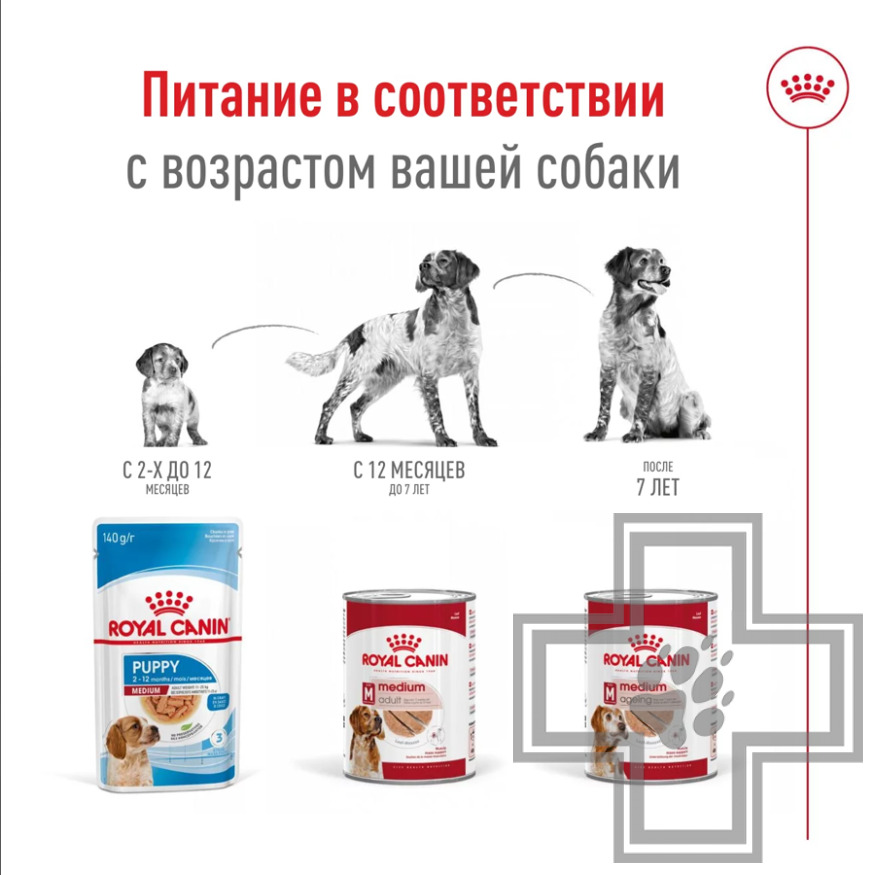 Royal Canin Medium Ageing Консервы для стареющих собак средних пород Royal Canin Medium Ageing Консервы для стареющих собак средних пород