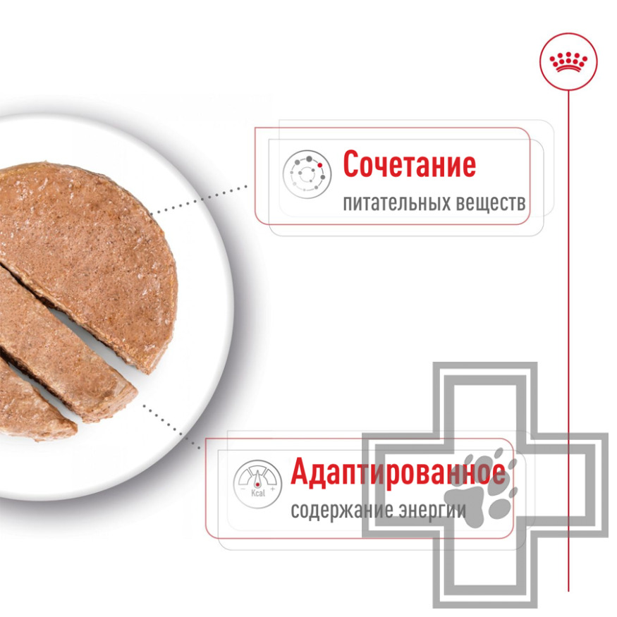 Royal Canin Mini Ageing Консервы для стареющих собак мелких пород Royal Canin Mini Ageing Консервы для стареющих собак мелких пород