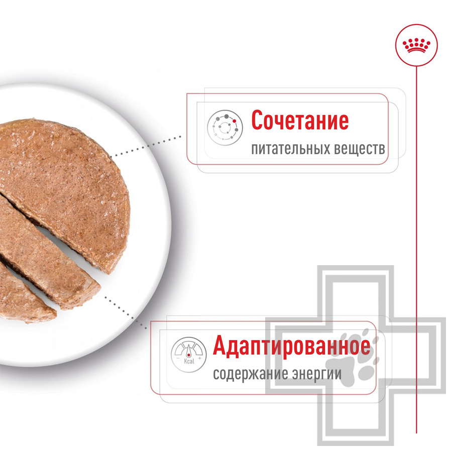 Royal Canin Mini Ageing Консервы для стареющих собак мелких пород