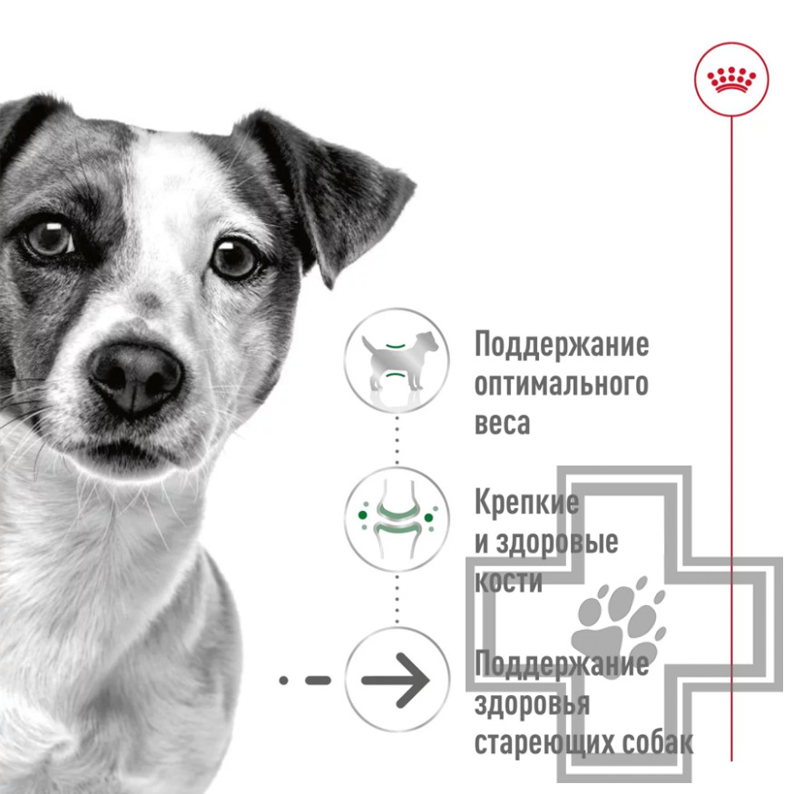 Royal Canin Mini Ageing Консервы для стареющих собак мелких пород