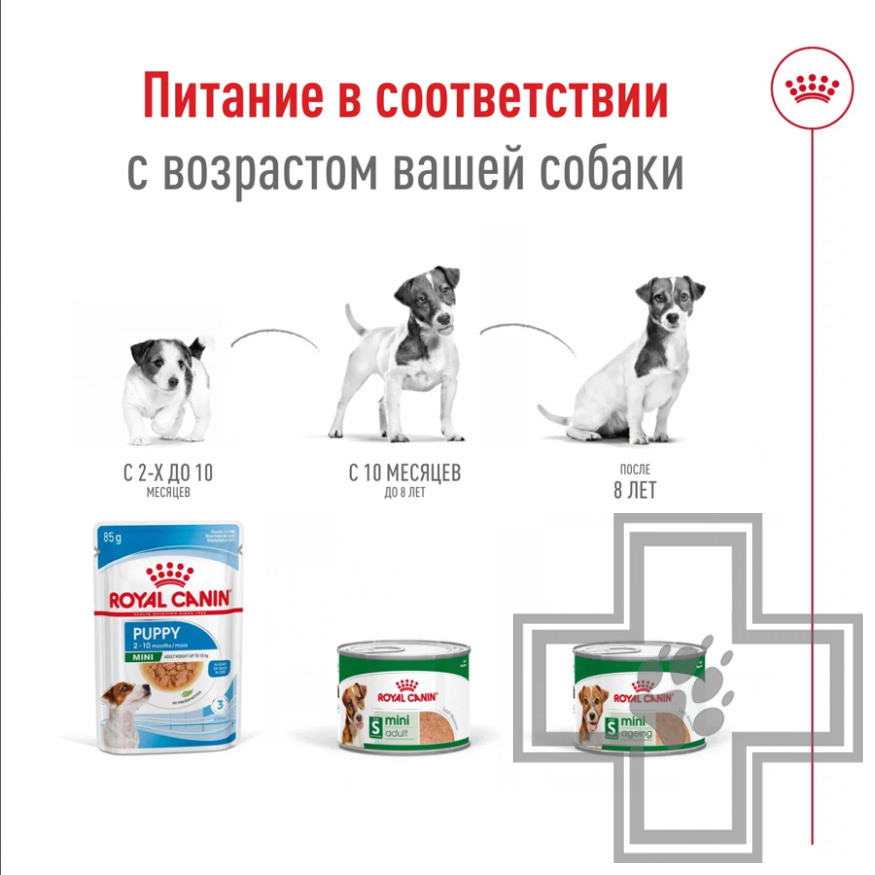 Royal Canin Mini Ageing Консервы для стареющих собак мелких пород Royal Canin Mini Ageing Консервы для стареющих собак мелких пород