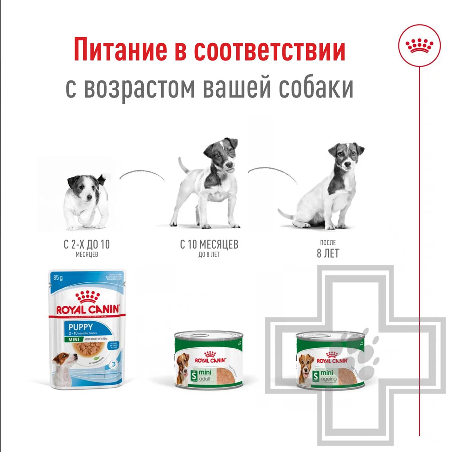 Royal Canin Mini Ageing Консервы для стареющих собак мелких пород
