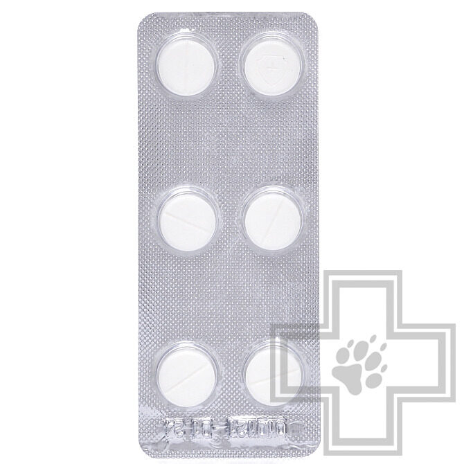 Сульф 480 таблетки Антибактериальный препарат для собак Сульф 480 таблетки Антибактериальный препарат для собак