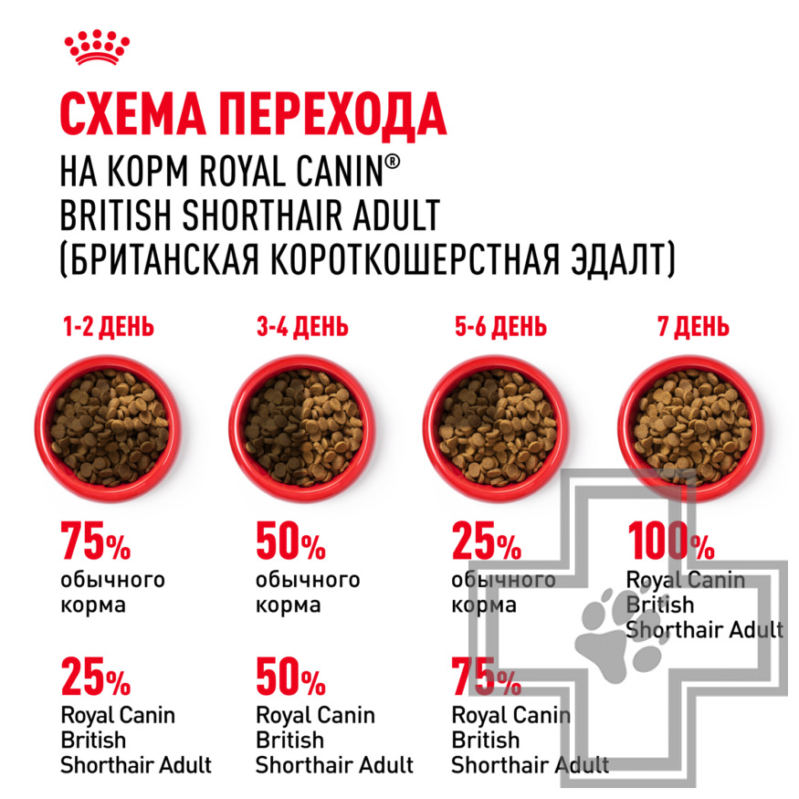 Royal Canin British Shorthair Adult Royal Canin British Shorthair Adult