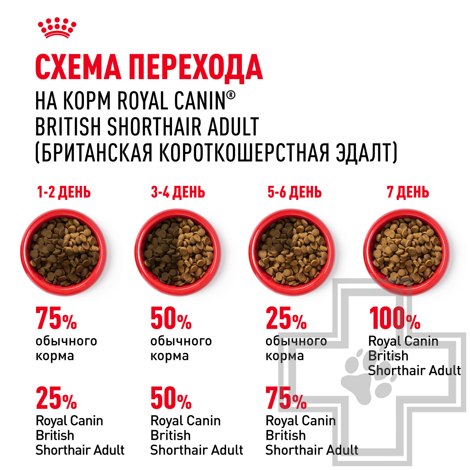 Royal Canin British Shorthair Adult