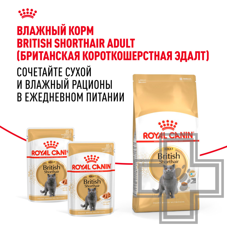 Royal Canin British Shorthair Adult Royal Canin British Shorthair Adult
