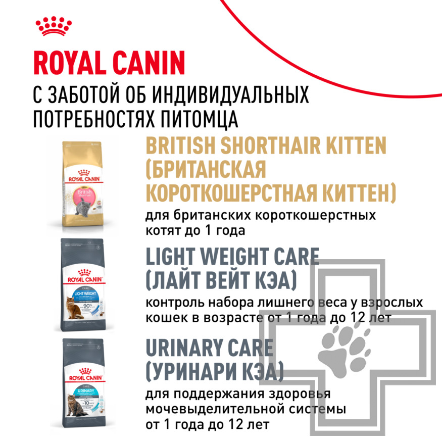 Royal Canin British Shorthair Adult Royal Canin British Shorthair Adult