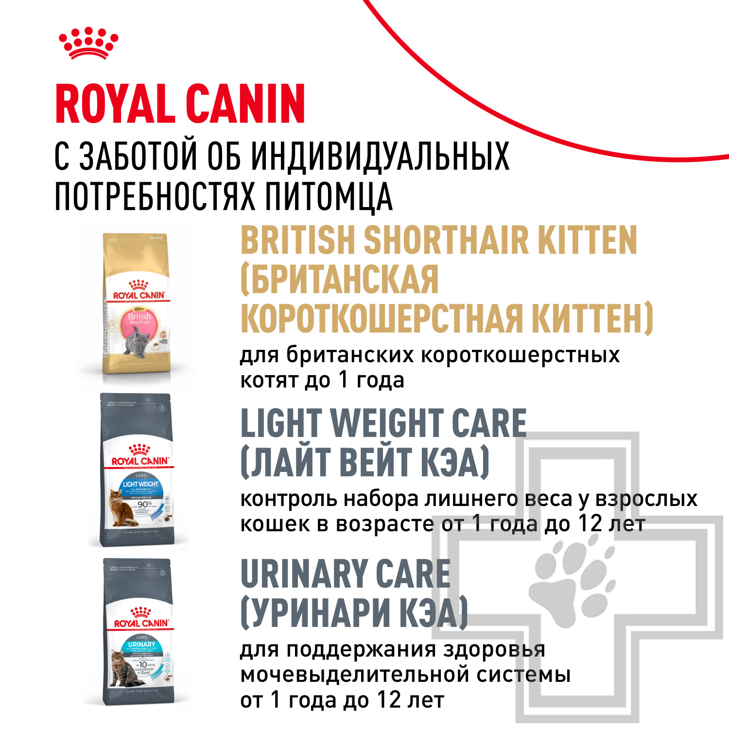 Royal Canin British Shorthair Adult