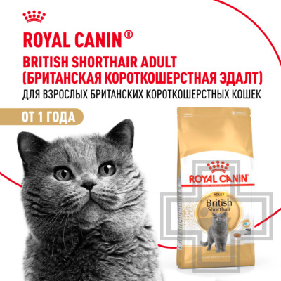 Royal Canin British Shorthair Adult