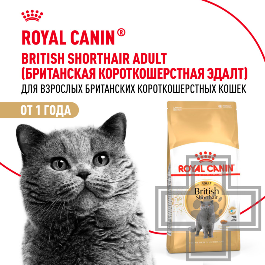 Royal Canin British Shorthair Adult Royal Canin British Shorthair Adult
