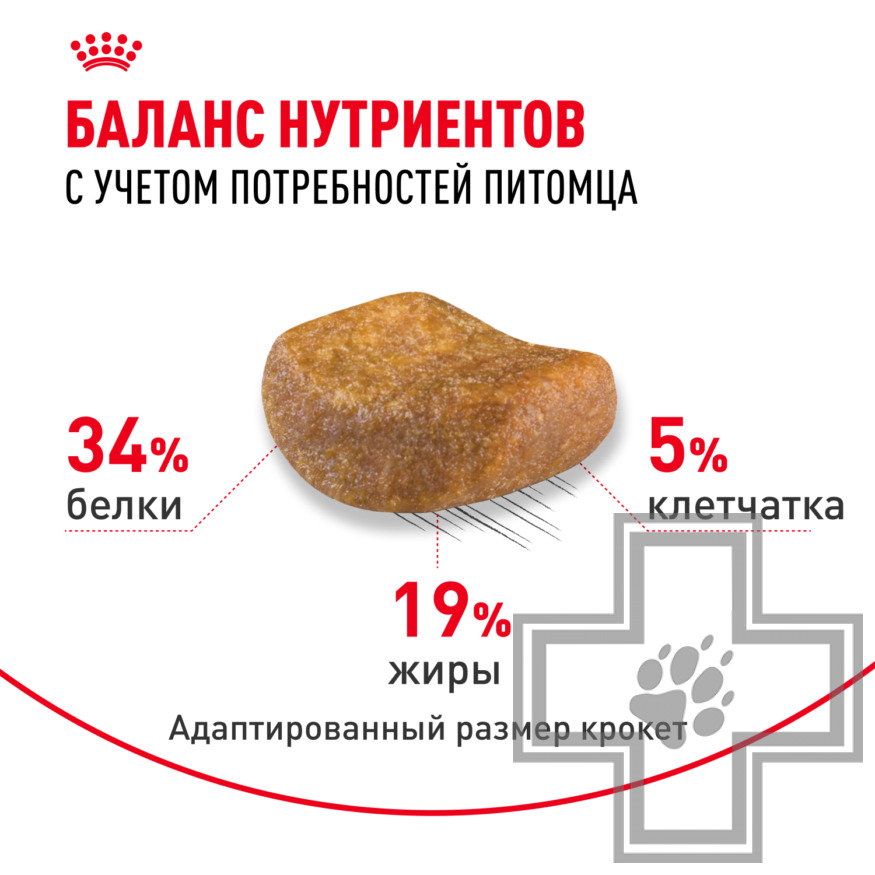 Royal Canin British Shorthair Adult Royal Canin British Shorthair Adult