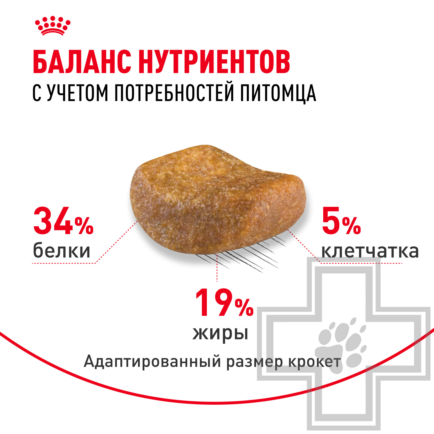 Royal Canin British Shorthair Adult