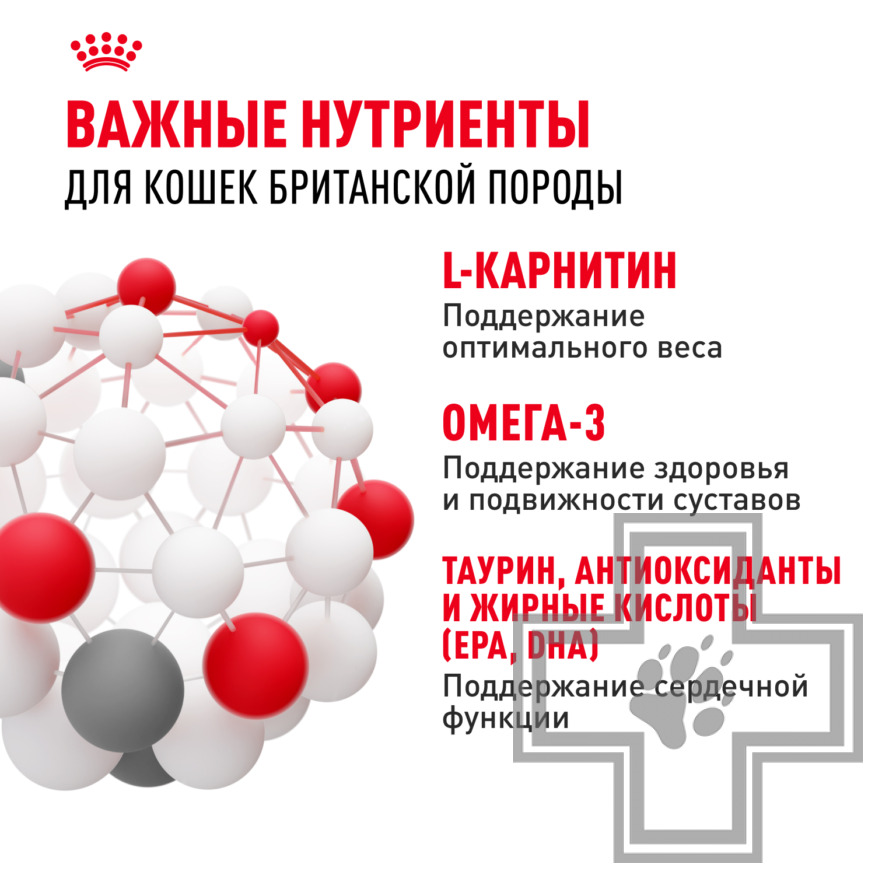 Royal Canin British Shorthair Adult Royal Canin British Shorthair Adult