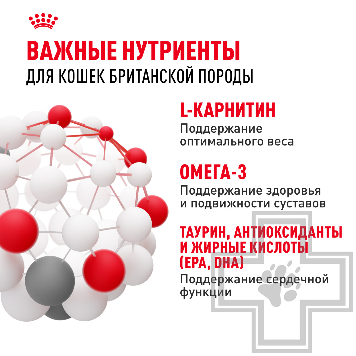 Royal Canin British Shorthair Adult