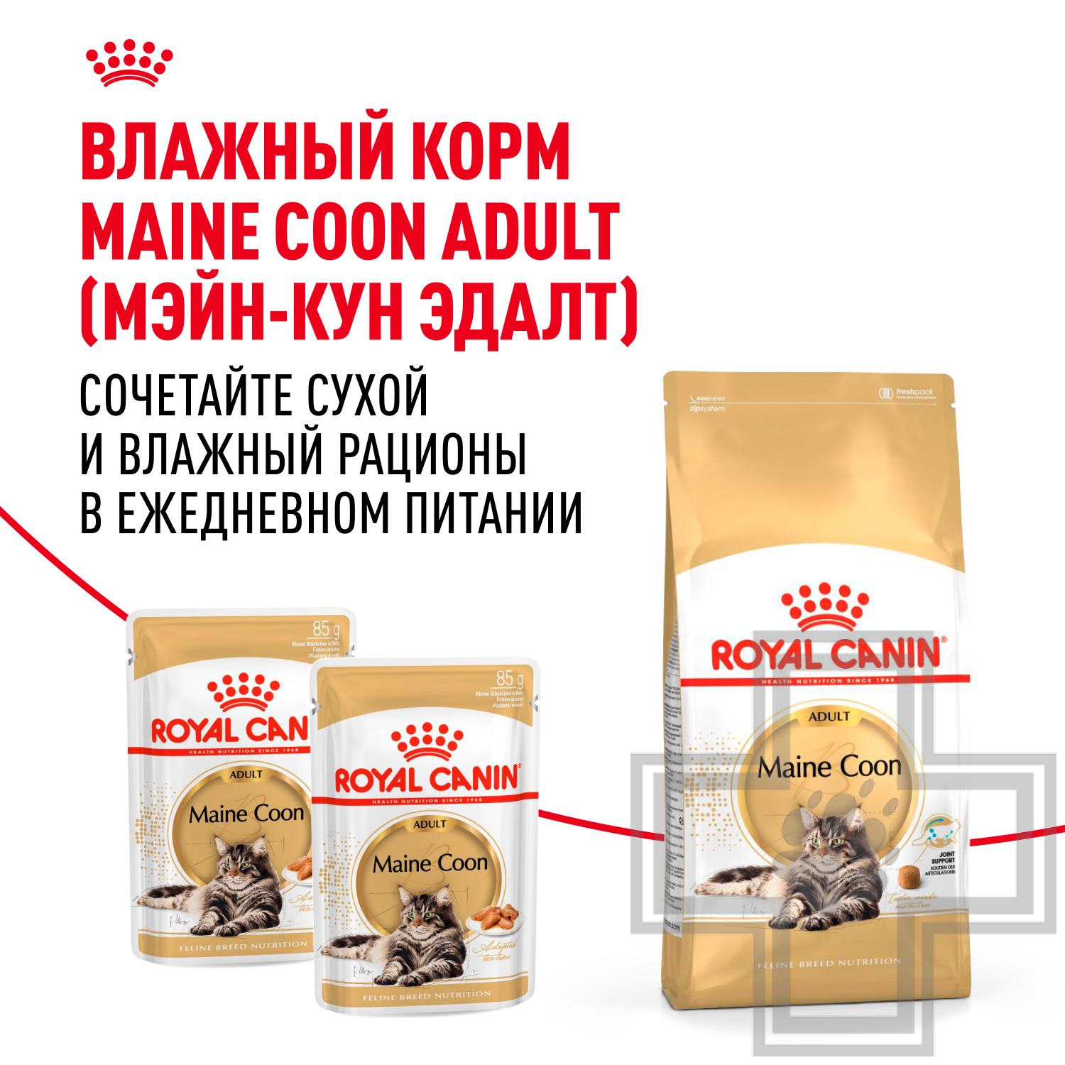Royal Canin Maine Coon Adult