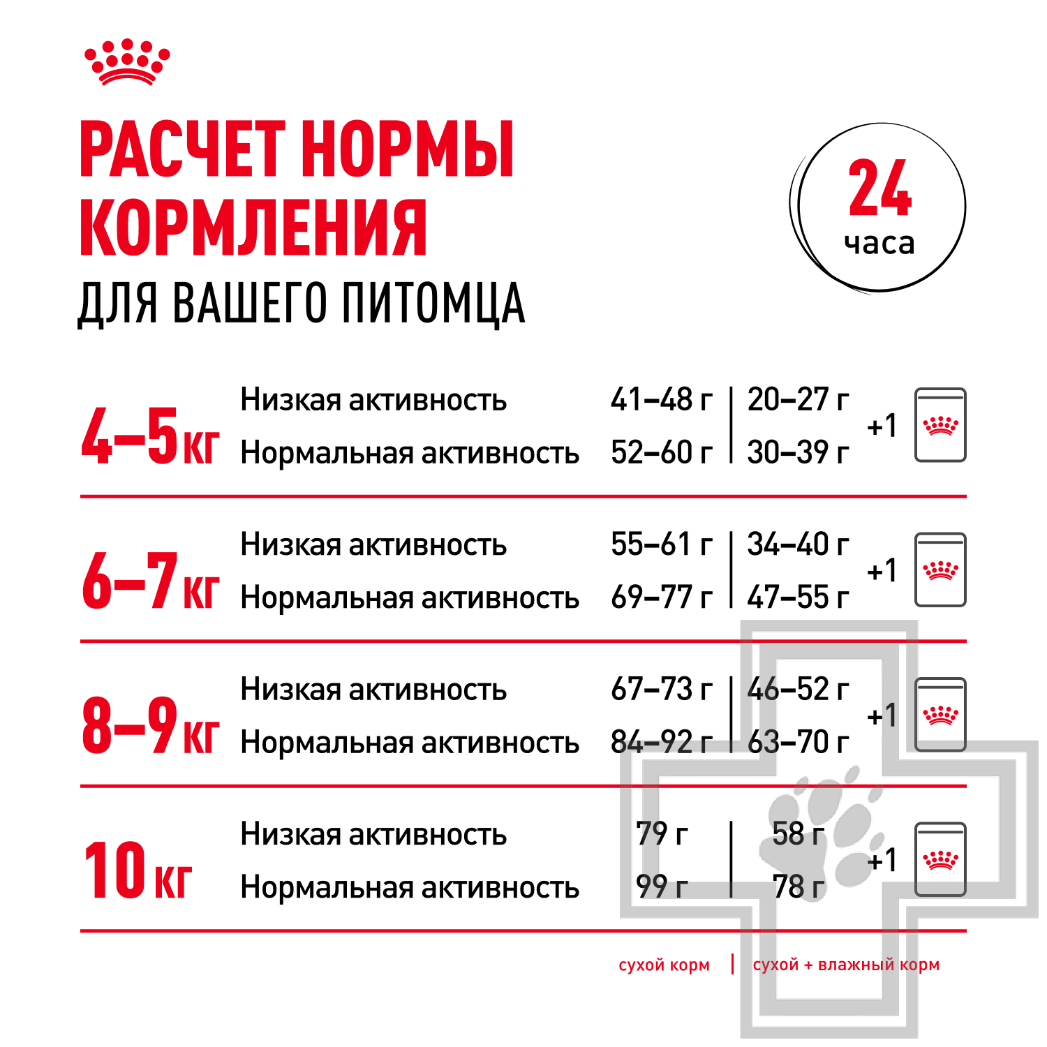 Royal Canin Maine Coon Adult