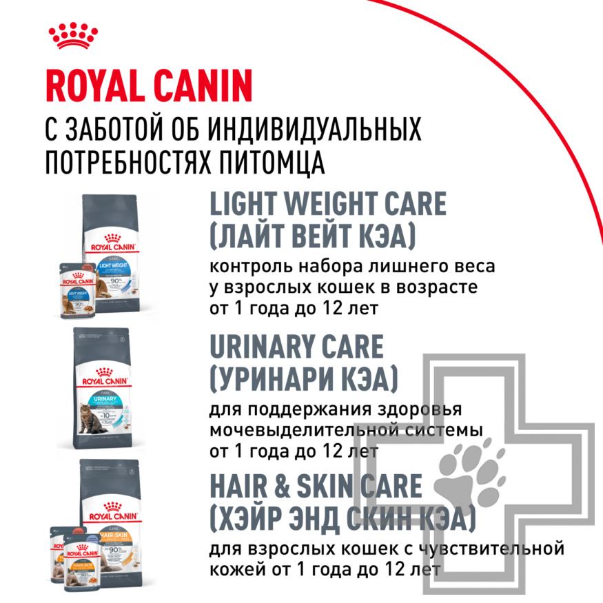 Royal Canin Maine Coon Adult Royal Canin Maine Coon Adult