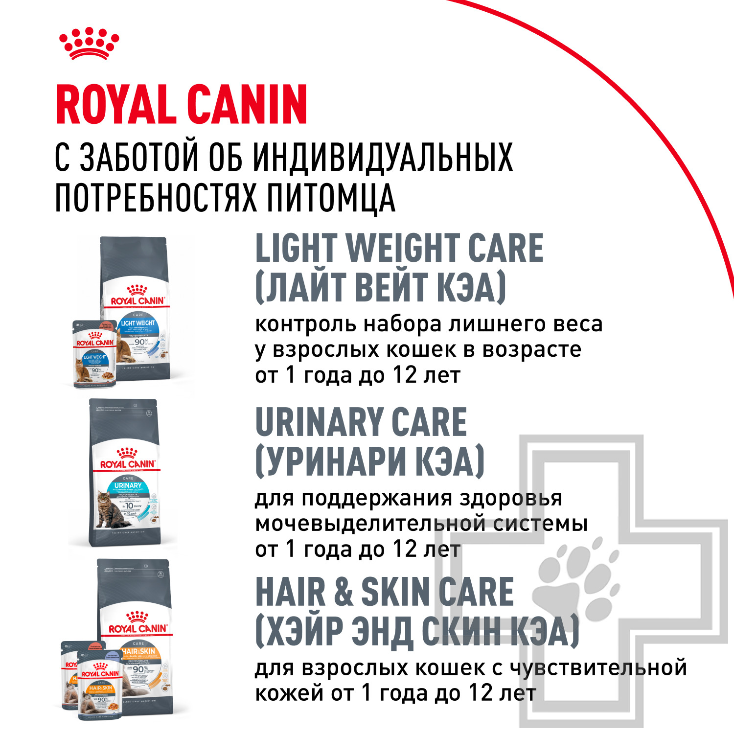 Royal Canin Maine Coon Adult