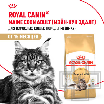 Royal Canin Maine Coon Adult