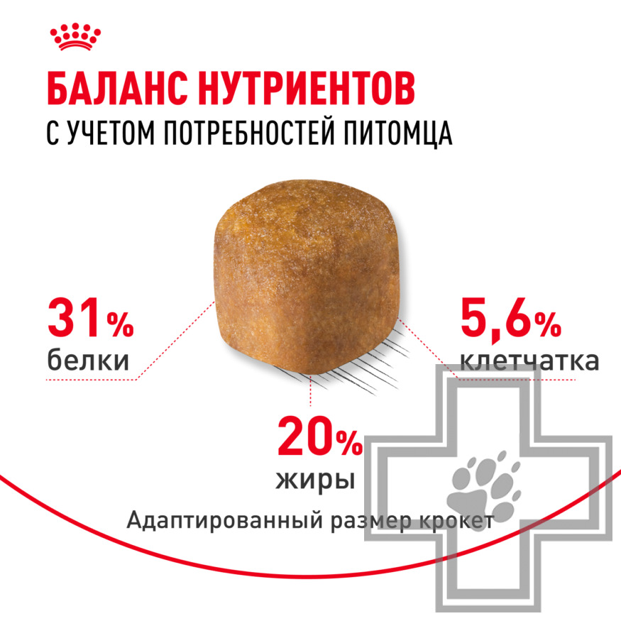 Royal Canin Maine Coon Adult Royal Canin Maine Coon Adult