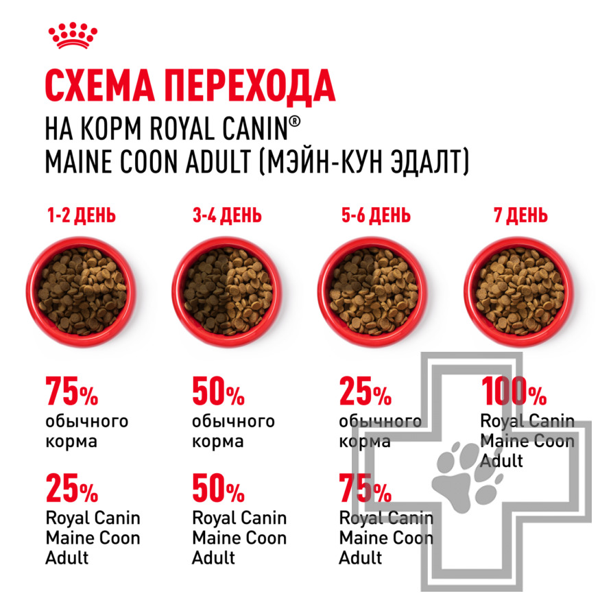 Royal Canin Maine Coon Adult Royal Canin Maine Coon Adult