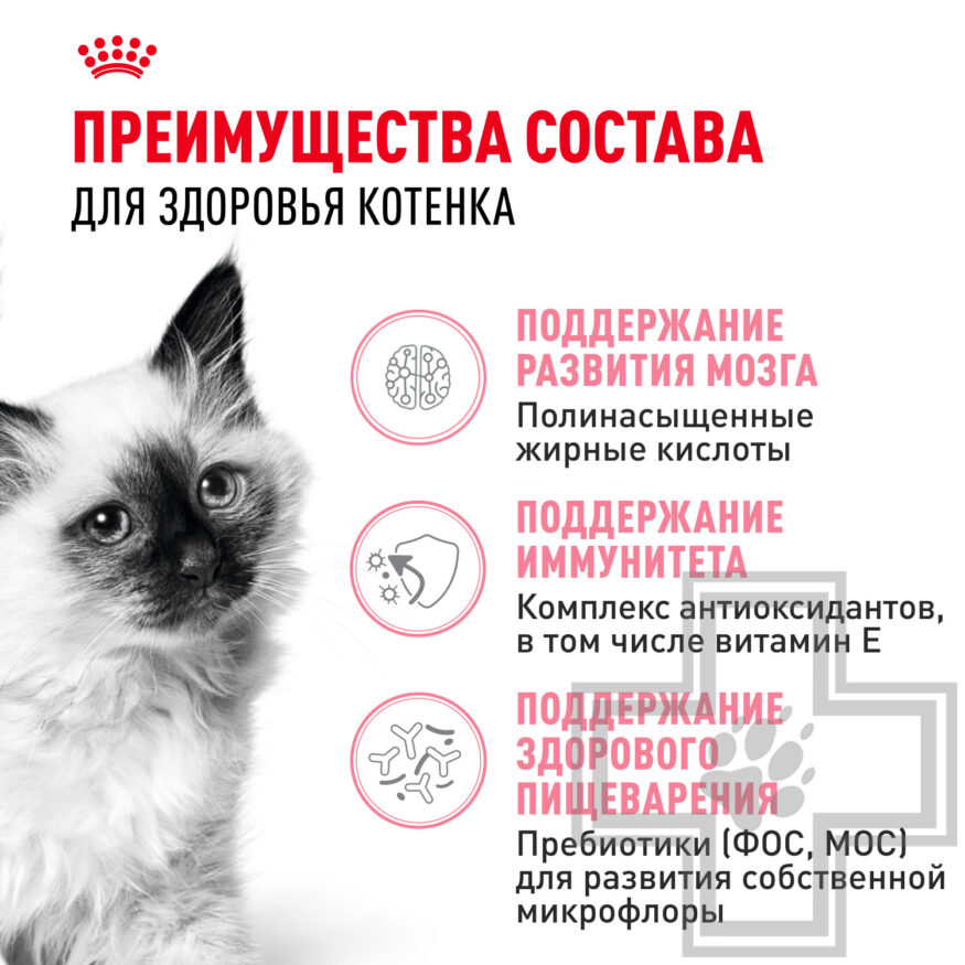 Royal Canin Kitten