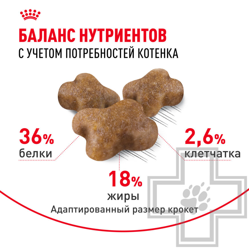 Royal Canin Kitten
