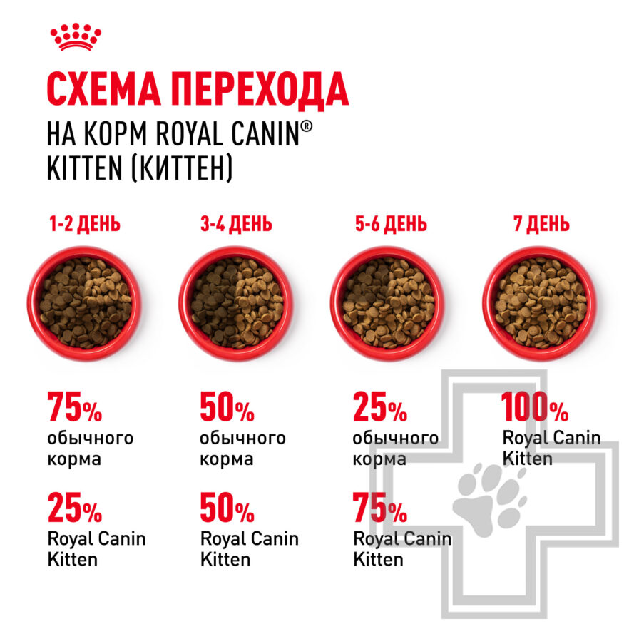 Royal Canin Kitten