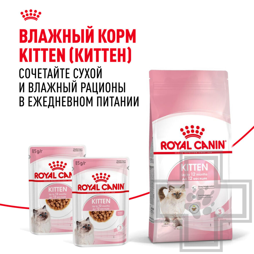 Royal Canin Kitten Royal Canin Kitten
