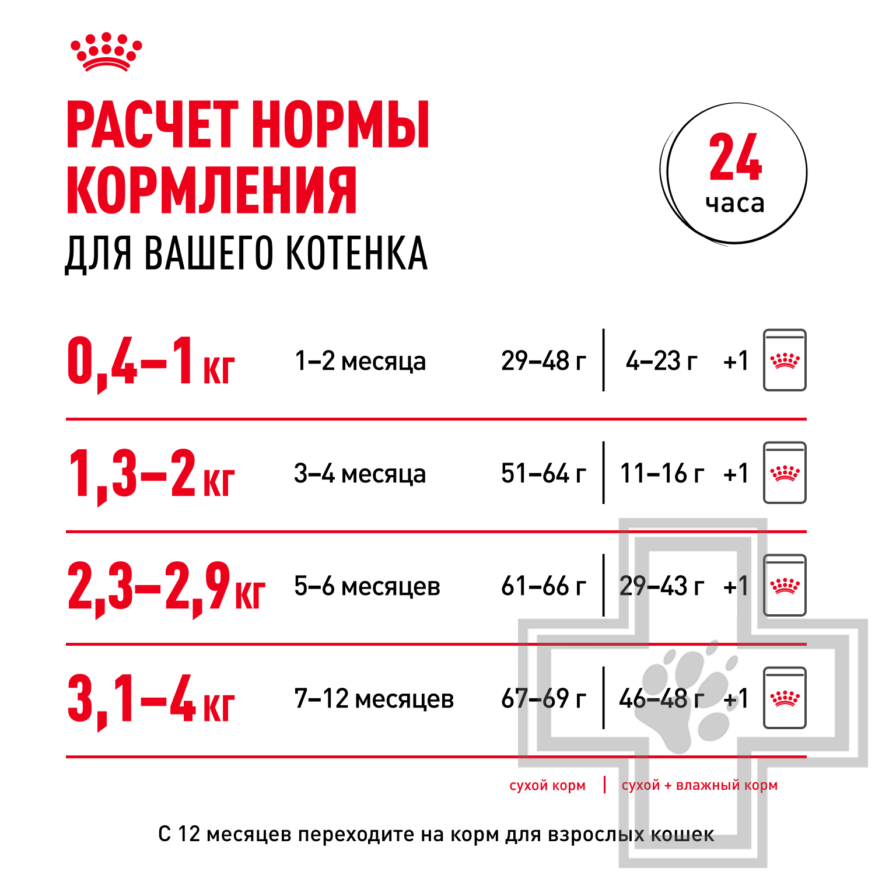 Royal Canin Kitten Royal Canin Kitten
