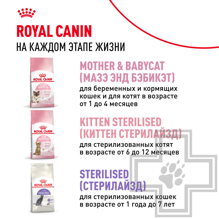 Royal Canin Kitten Royal Canin Kitten