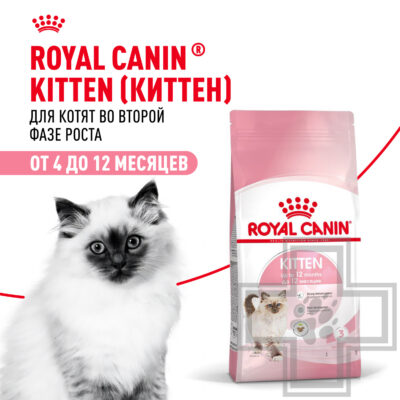 Royal Canin Kitten