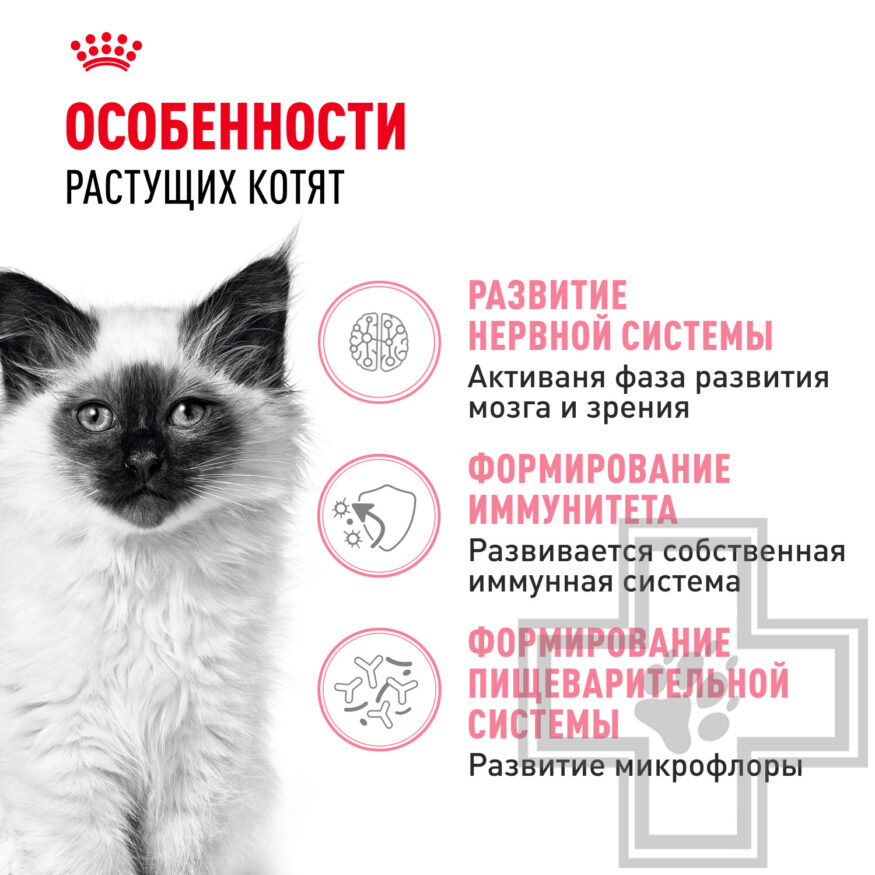 Royal Canin Kitten Royal Canin Kitten