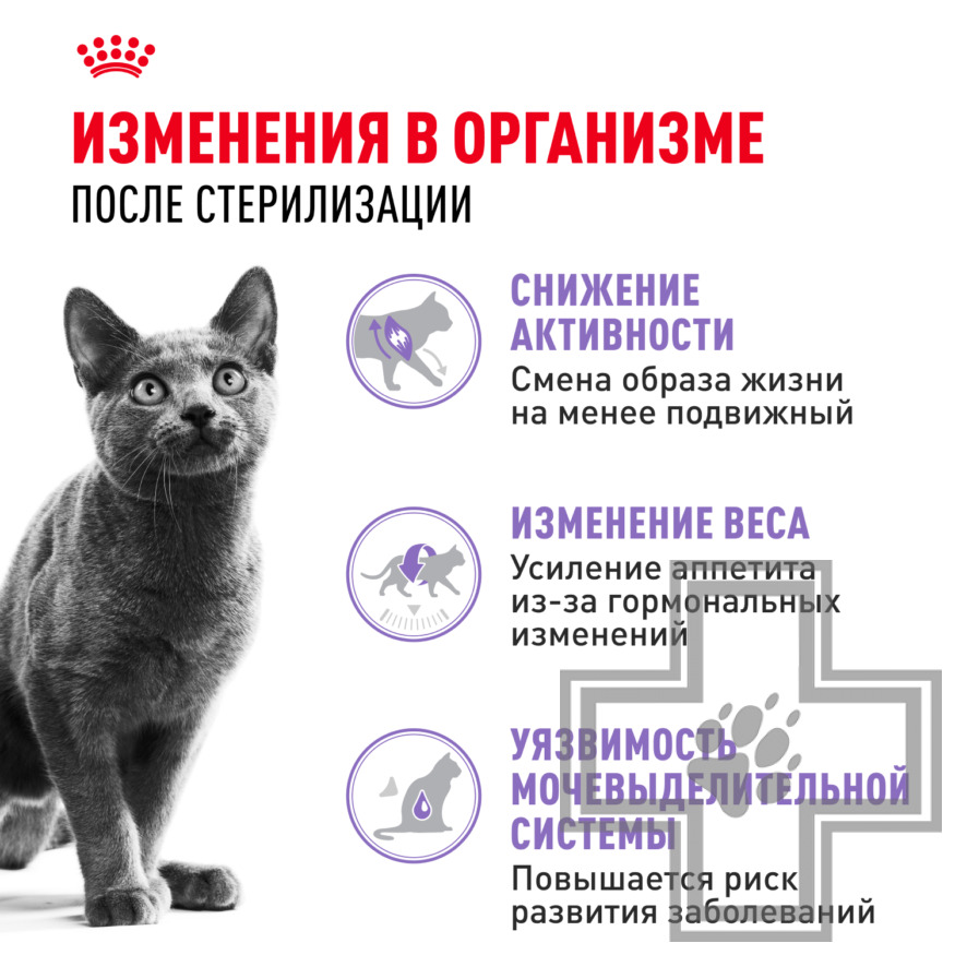 Royal Canin Sterilised 37