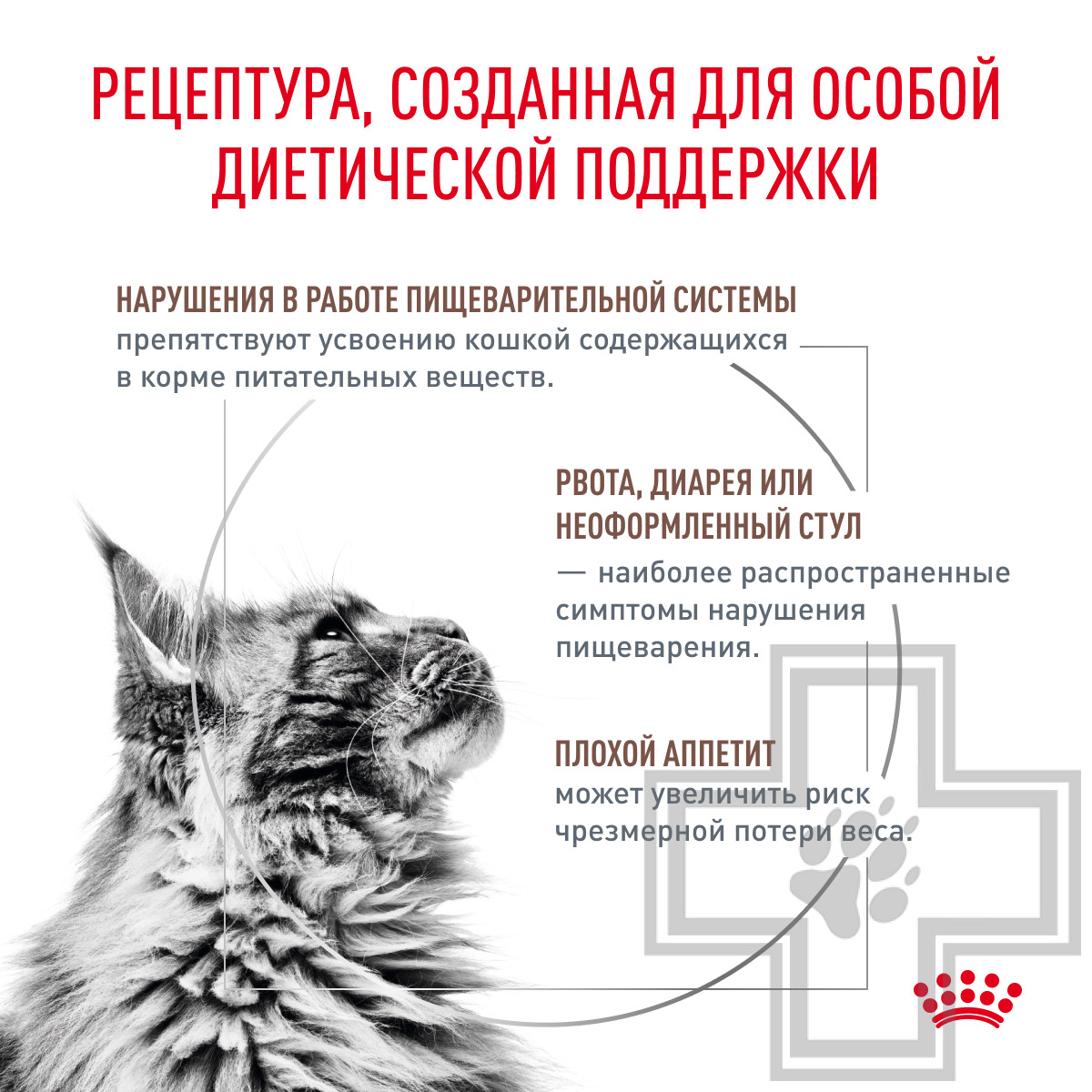 Royal Canin Gastrointestinal