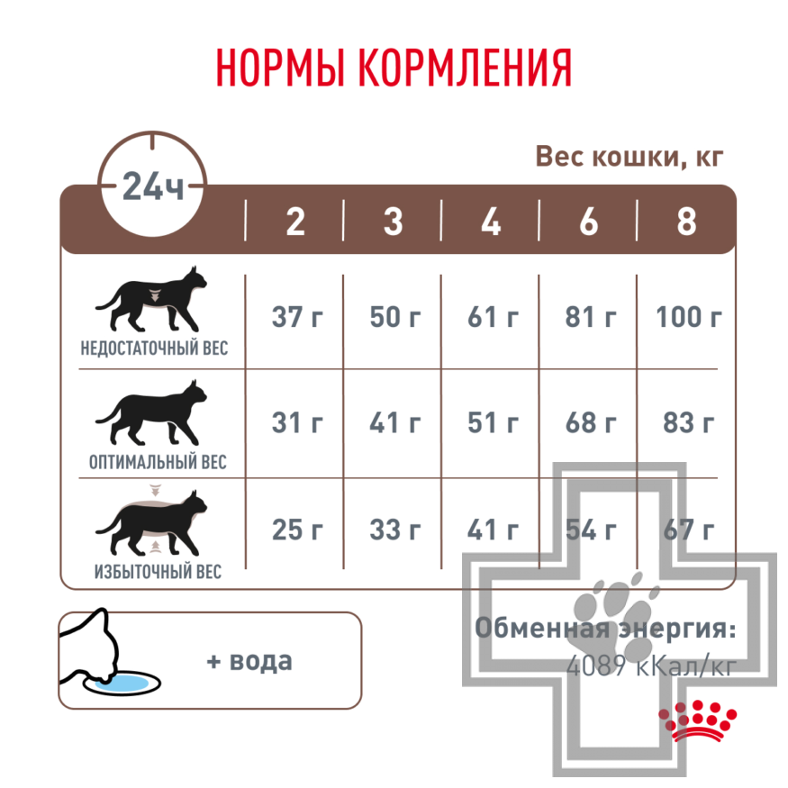 Royal Canin Gastrointestinal Royal Canin Gastrointestinal