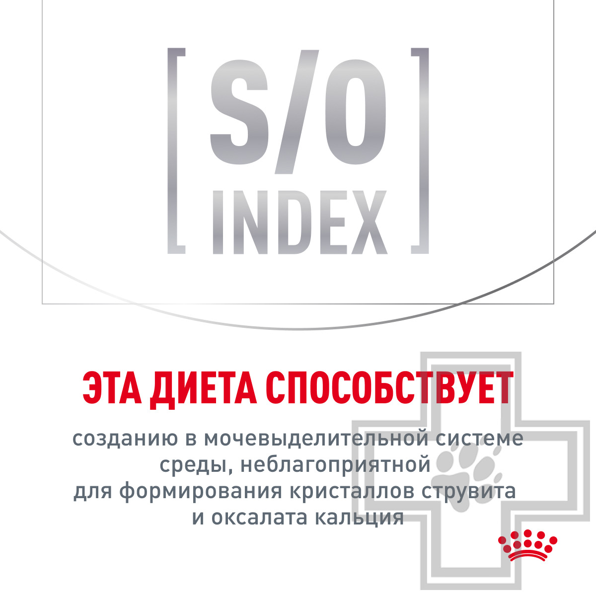 Royal Canin Gastrointestinal